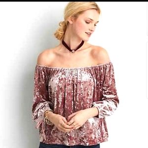 American Eagle Crushed Velvet Off the Shoulder Top